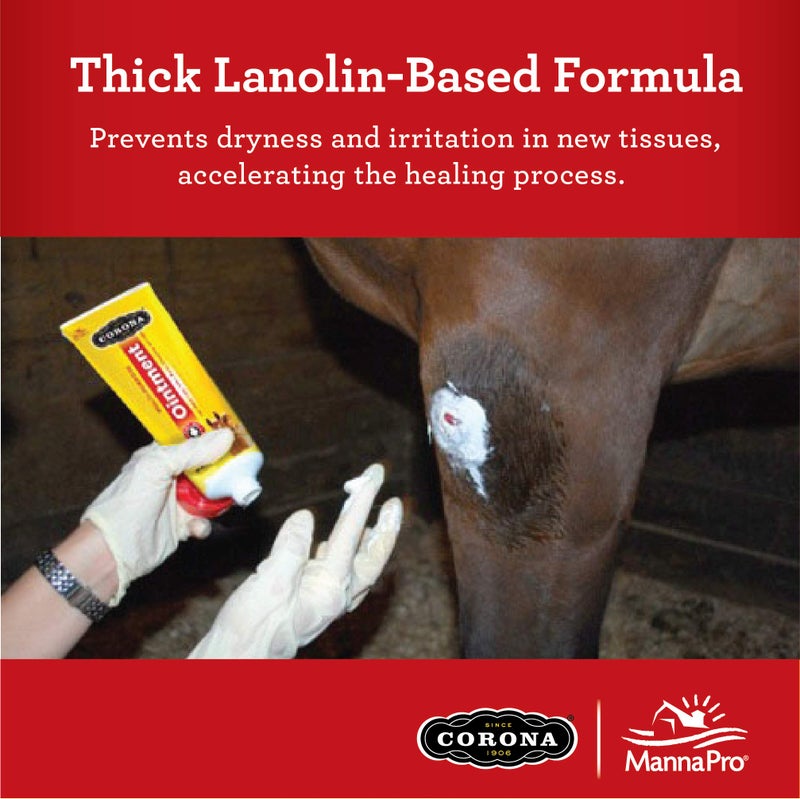 Corona Ointment 14oz - Image 4